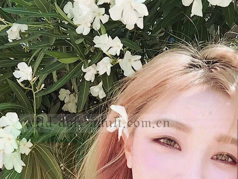 月活跃用户规模增长折线图，曲线从中部继续向上延伸